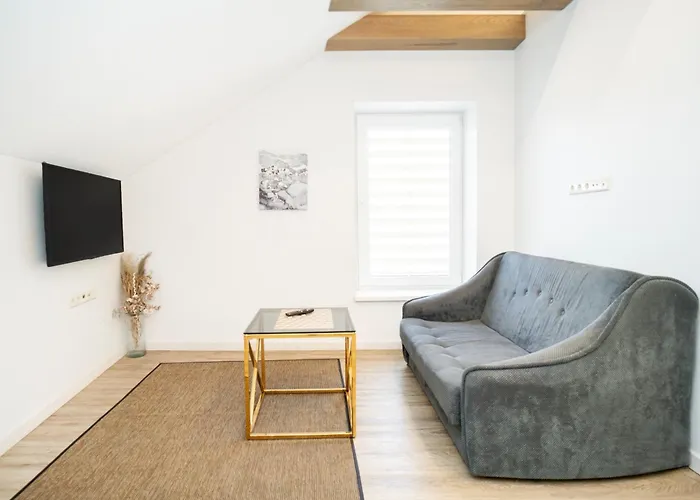 Kaunas Castle Apartments - Studio